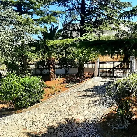 Sunshine's Apartment Ortona