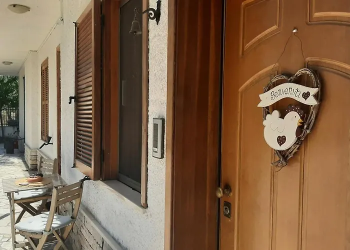 Sunshine's Ортона